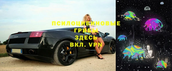 гидра Алексин